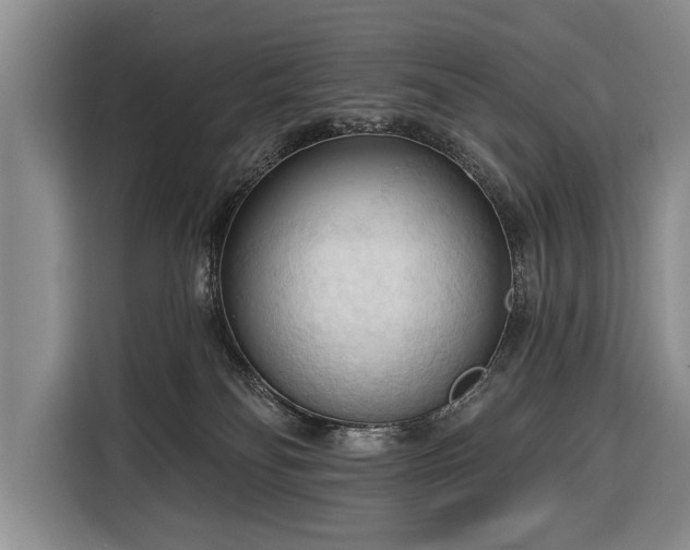 X0000116320134200912091027