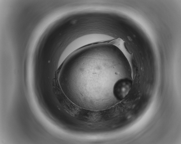 X0000116320143200912091027