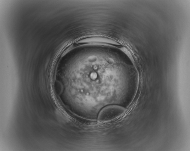 X0000116320145200912091026