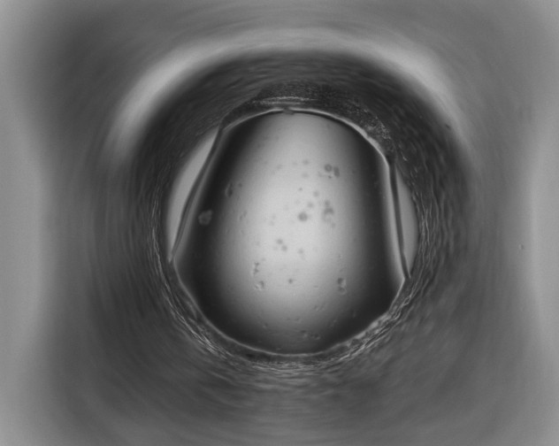 X0000116320146200912091026