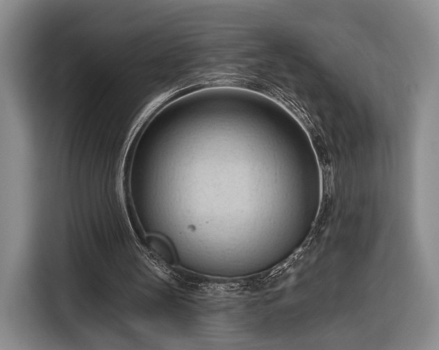 X0000116320147200912091026