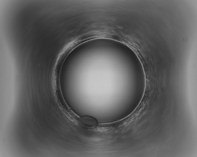 X0000116320149200912091026