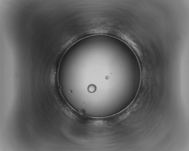 X0000116320153200912091026