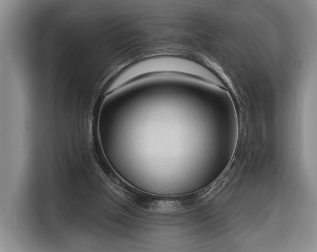 X0000116320154200912091026