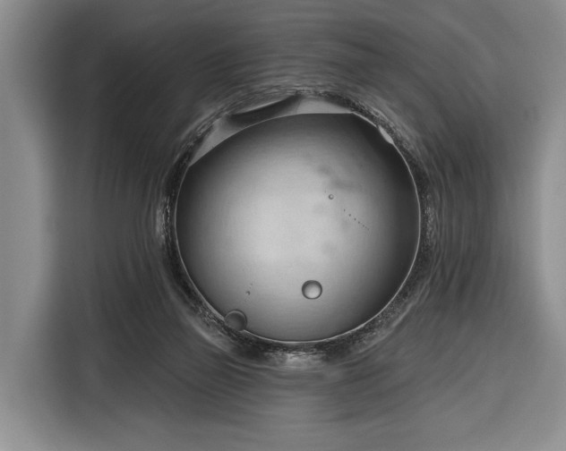 X0000116320165200912091026