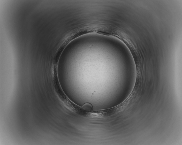 X0000116320167200912091026