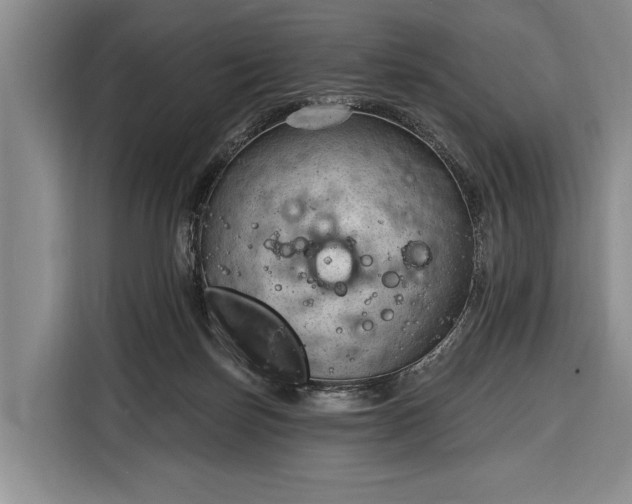 X0000116320171200912091026