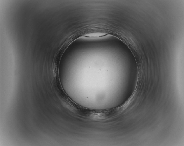 X0000116320174200912091026