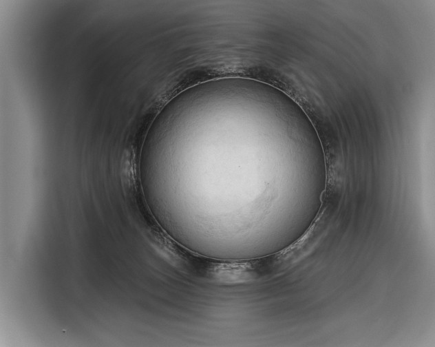 X0000116320179200912091026