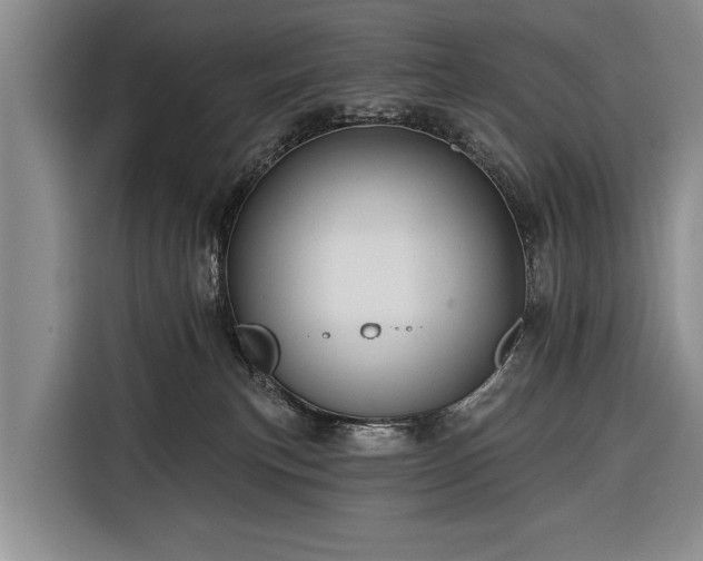 X0000116320183200912091026