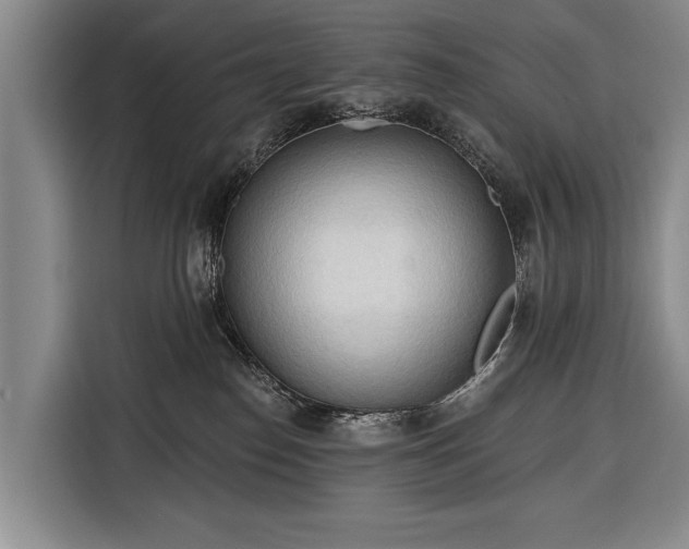 X0000116320186200912091026