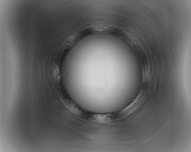 X0000116320187200912091026