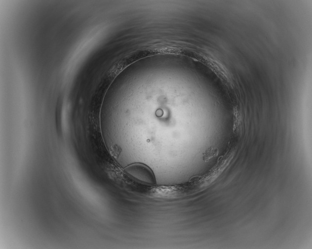 X0000116320189200912091026