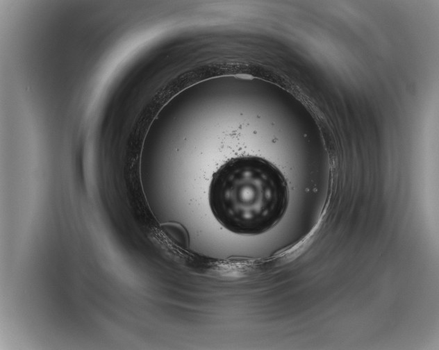 X0000116320190200912091026