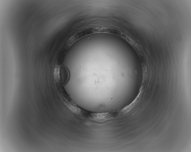 X0000116320191200912091026