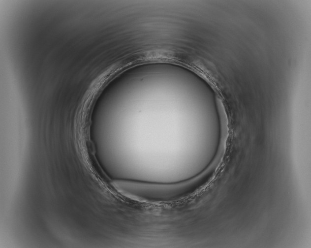 X0000116320193200912091026