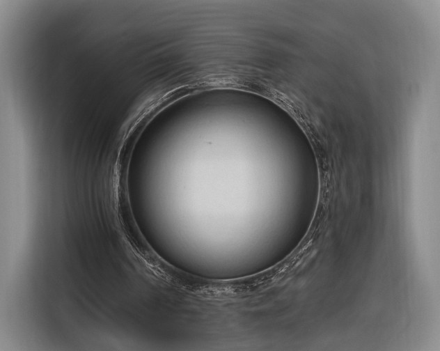 X0000116320194200912091026