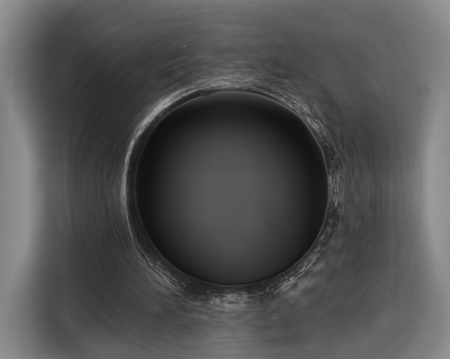 X0000116320196200912091026