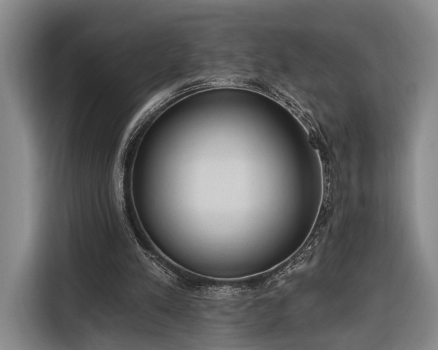 X0000116320197200912091026