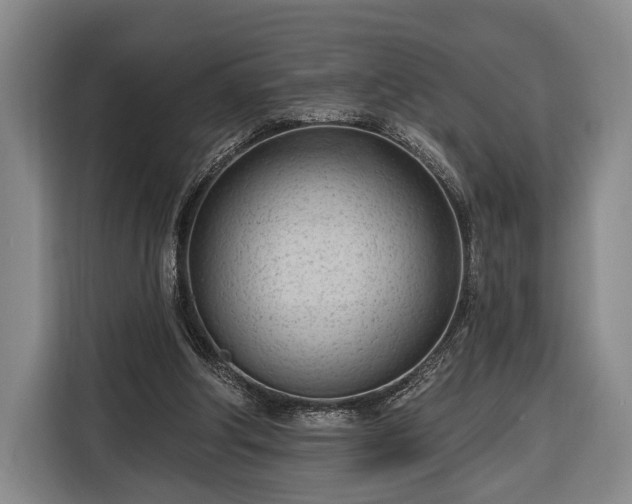 X0000116320202200912091026