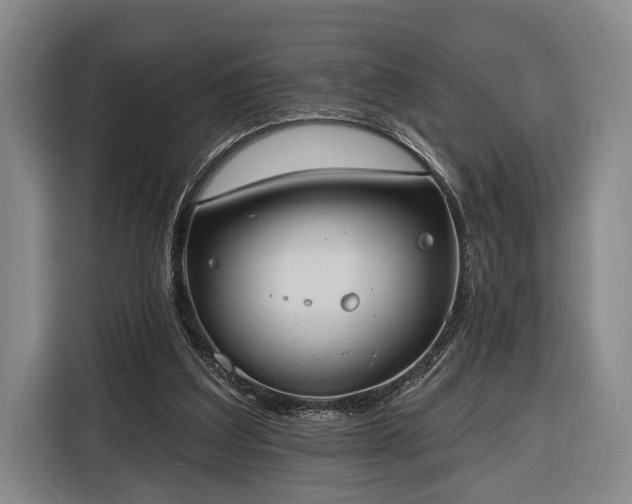 X0000116320203200912091026