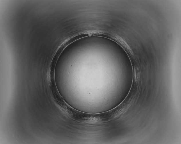 X0000116320204200912091026