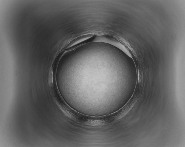 X0000116320205200912091026