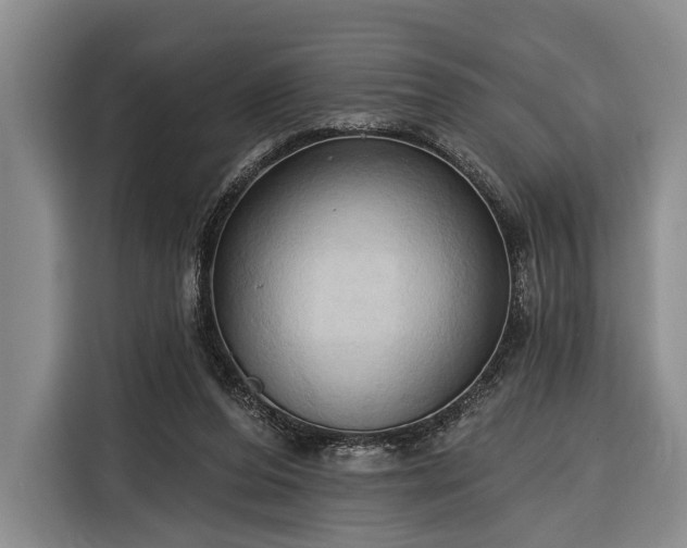 X0000116320208200912091026