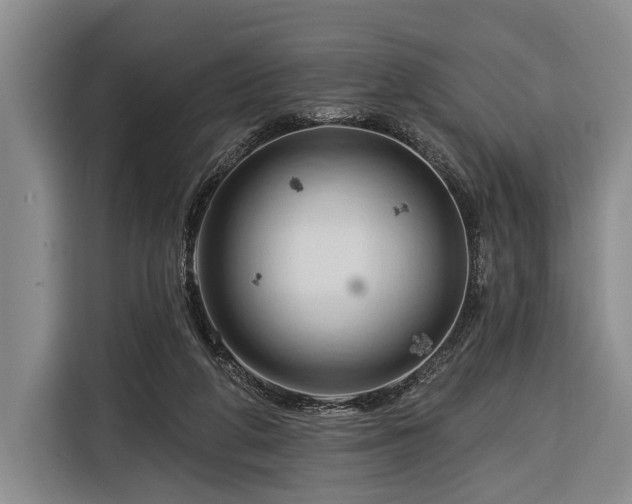 X0000116320210200912091026