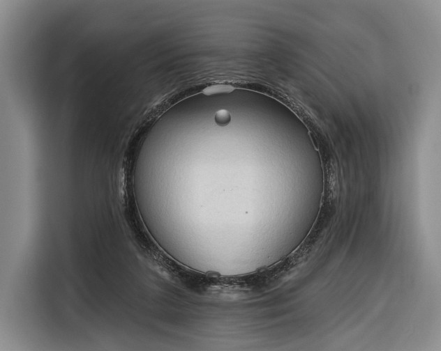 X0000116320211200912091026