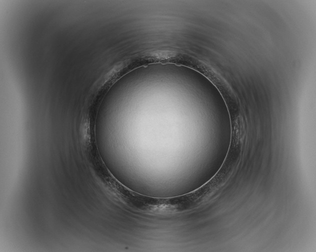 X0000116320212200912091026