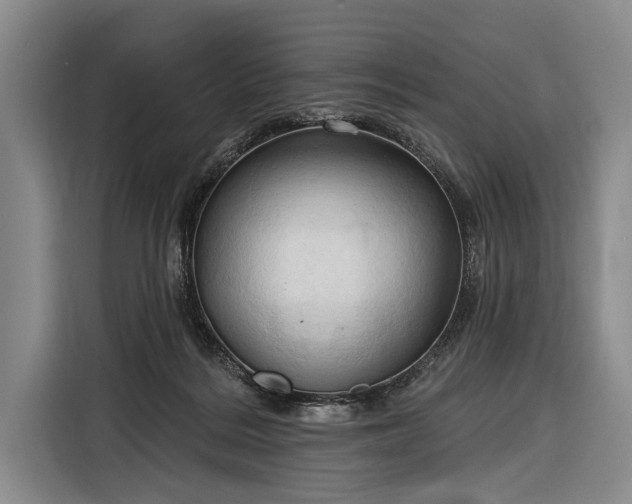 X0000116320220200912091026