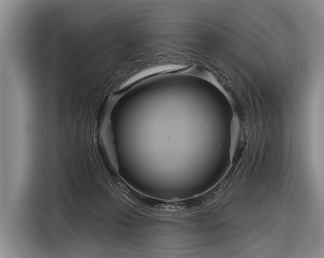 X0000116320223200912091025