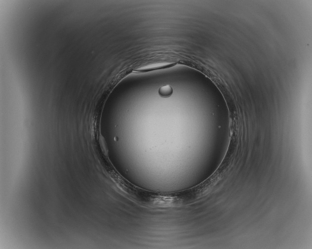 X0000116320227200912091025