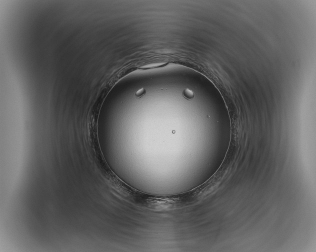 X0000116320229200912091025