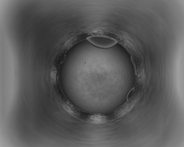 X0000116320231200912091025