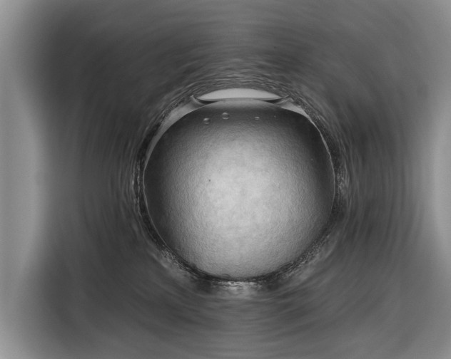 X0000116320233200912091025