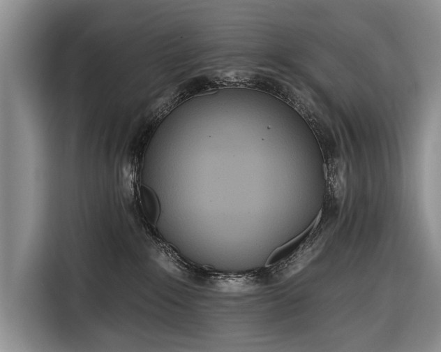 X0000116320235200912091025