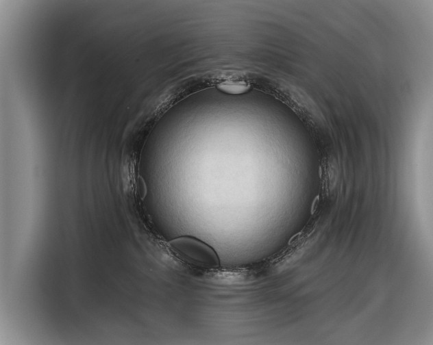 X0000116320236200912091025