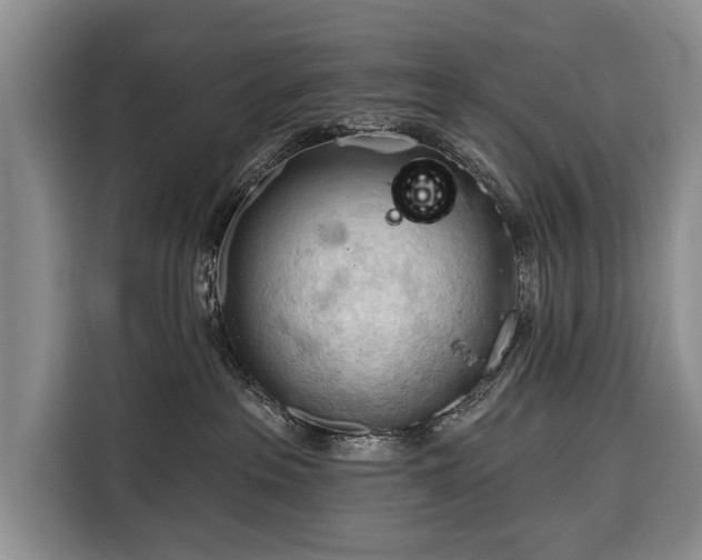 X0000116320237200912091025