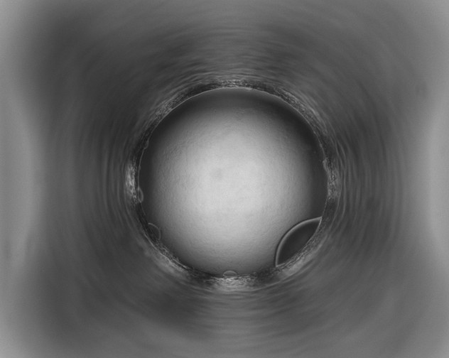 X0000116320238200912091025