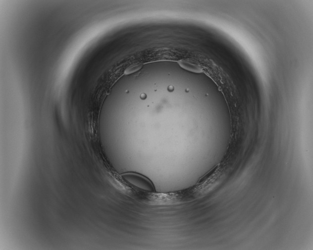 X0000116320239200912091025