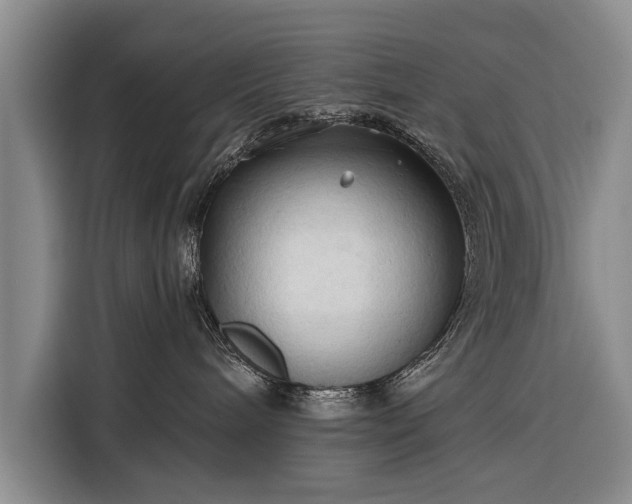 X0000116320240200912091025