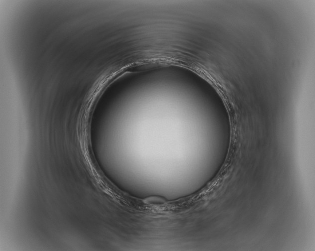 X0000116320241200912091025