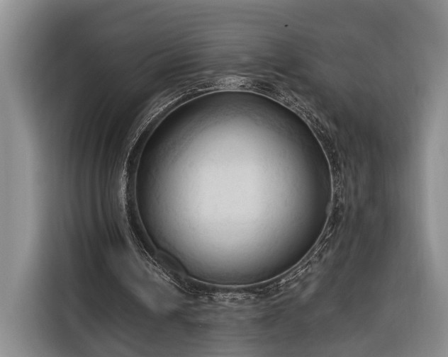 X0000116320242200912091025