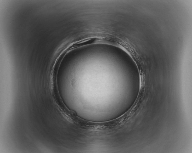 X0000116320243200912091025