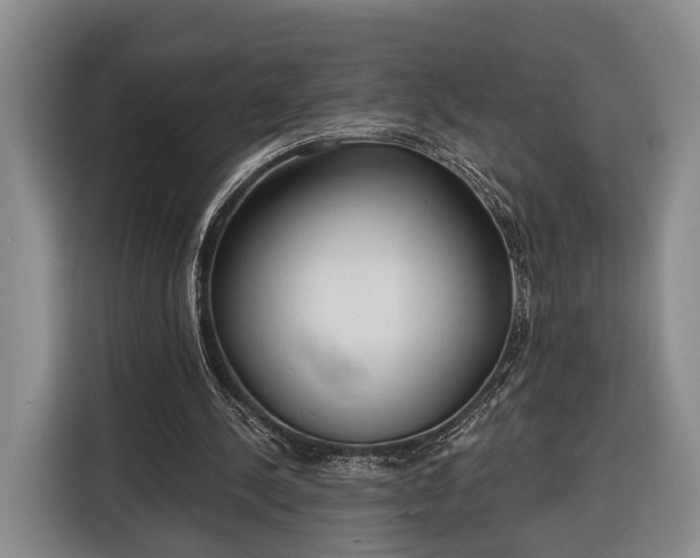 X0000116320244200912091025