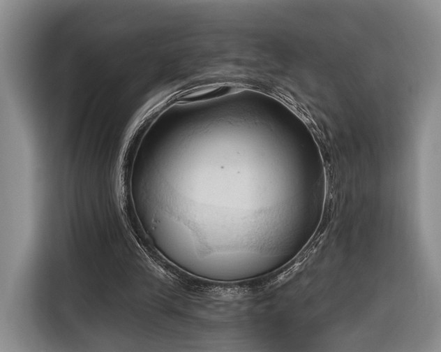 X0000116320245200912091025