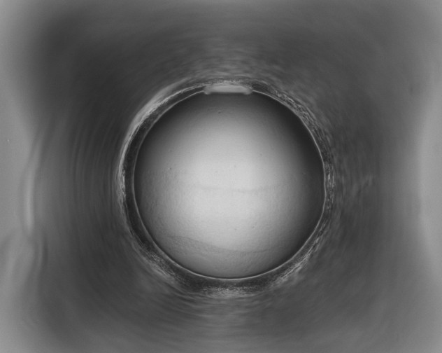 X0000116320246200912091025