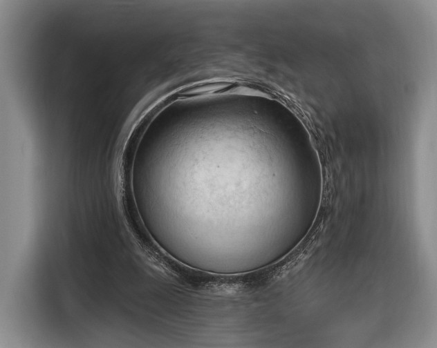 X0000116320247200912091025